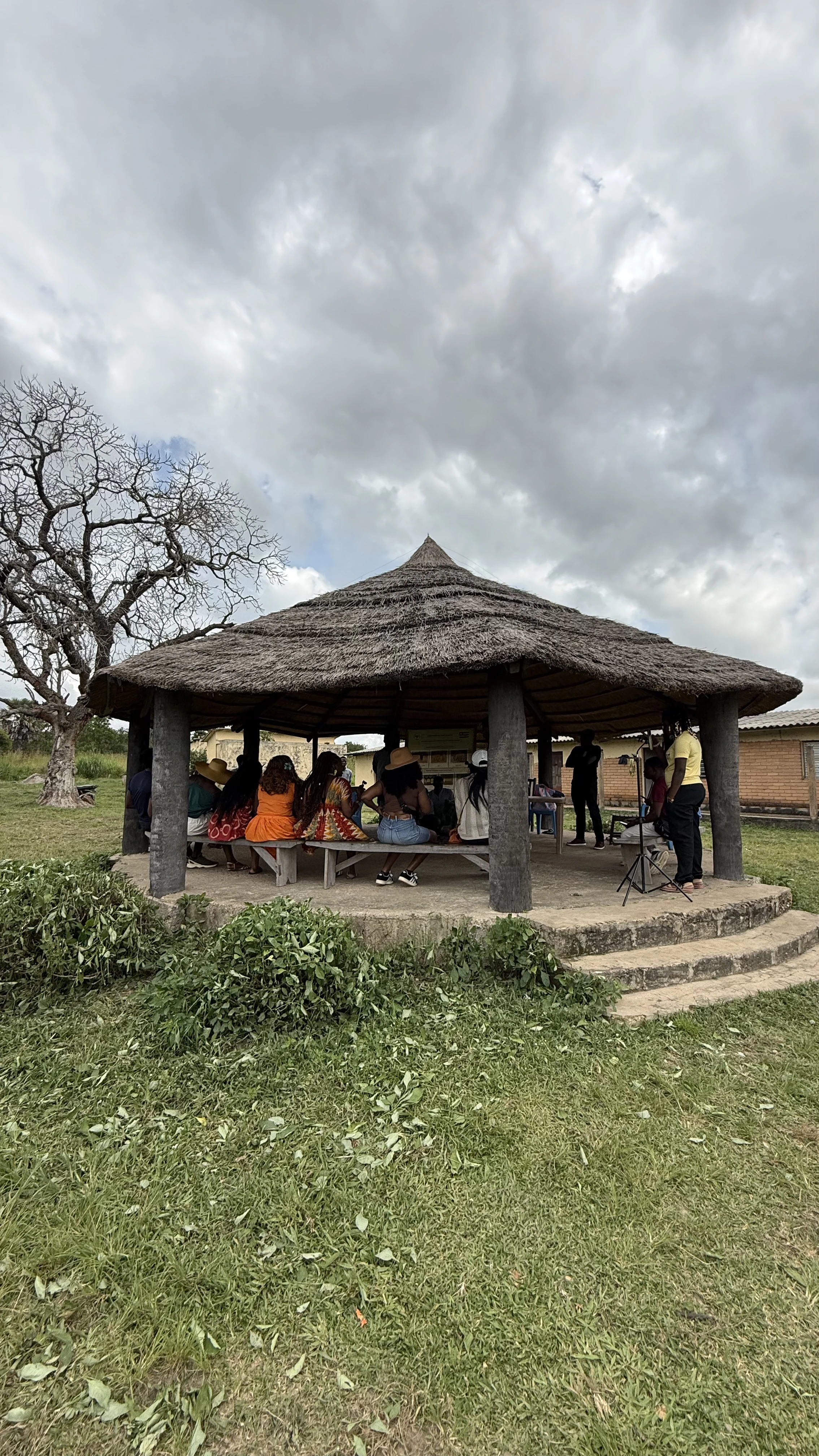 Elephant at Kara Park